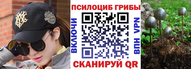 Псилоцибиновые грибы прущие грибы  Бахчисарай 